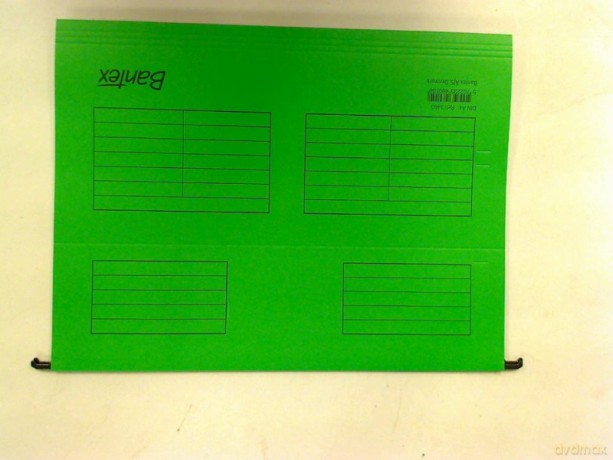 Teczka wisząca Pendaflex pionowa A4 (3460) zielona