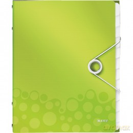Teczka z 12 przegródkami Leitz Wow 4634-00-64 zielona