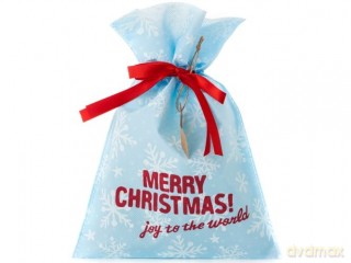 Torba prezentowa 20x30cm Merry Christmas 4