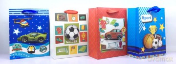 Torebka ozdobna 3D pionowa średnia sport 26x32x10