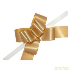 Wstążka organza H011 50mm/5m