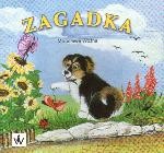Zagadka - Mirosława Woźna [KSIĄŻKA]