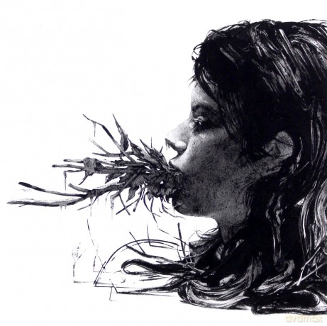 Parenthetical Girls: Entanglements [CD]