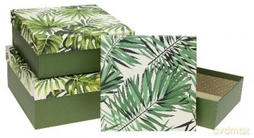 Zestaw pudełek monstera (S:20x20x7cm, M:22x22x9cm, L:24x24x11.5cm) 3 szt.