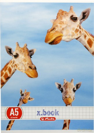 Zeszyt 32 A5 w kratkę Animals 9563594