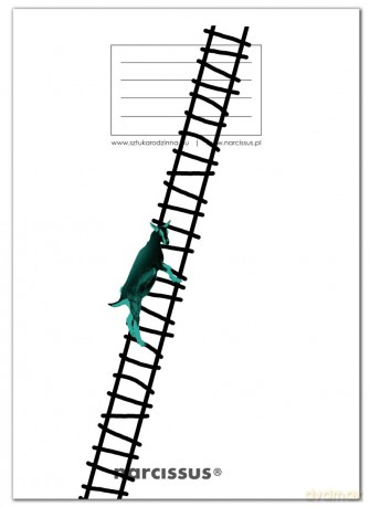 Zeszyt A5 60 kartek kratka 80g goat ladder