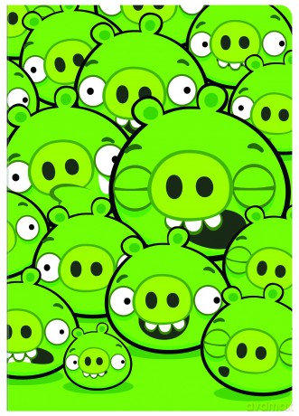 Zeszyt A5 96 kartek kratka ANGRY BIRDS