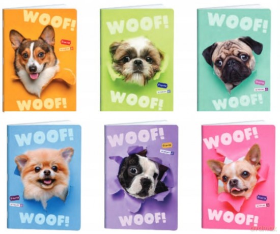 Zeszyt A5 Woof 32 kartek kratka 10szt