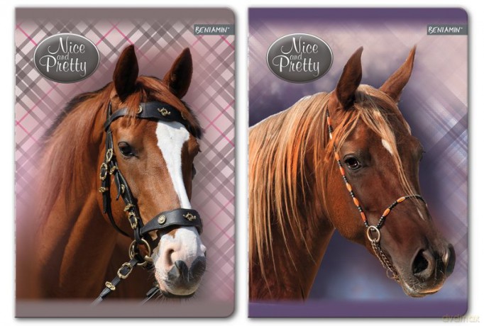 Zeszyt A5/60k w linie Nice&Pretty 5szt/opak