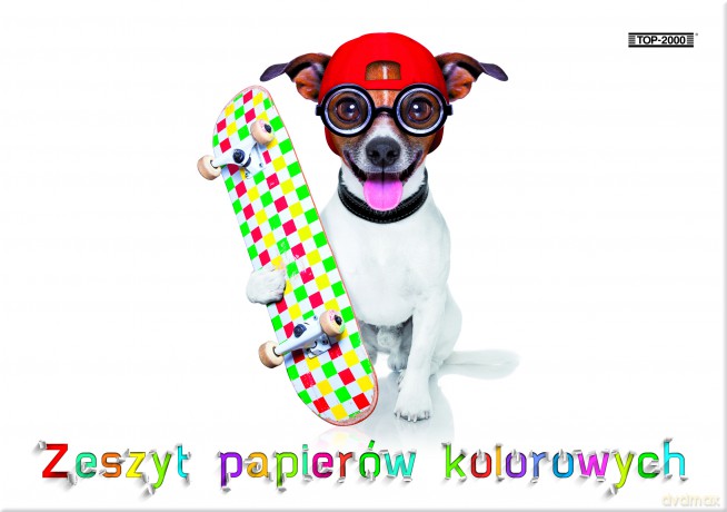 Zeszyt papierów kolorowych A4 400054814