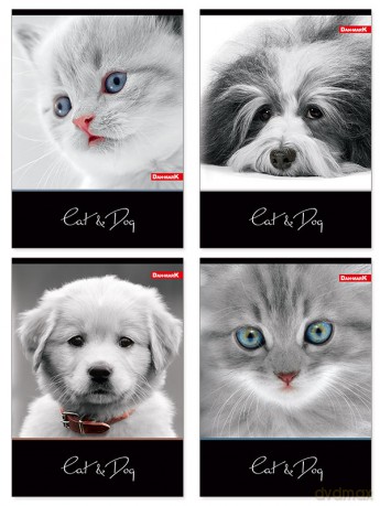Zeszyty Dan-Mark CAT&DOG A5 linia 60 (5905184037932)