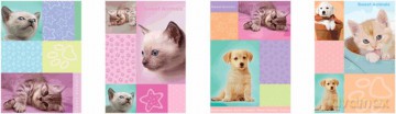 Zeszyty Dan-Mark SWEET ANIMALS LAMINOWANY A5 linia 16 (0938)