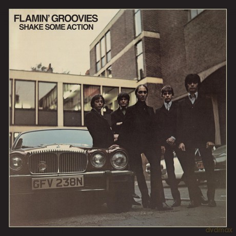 The Flamin' Groovies: Shake Some Action [2CD]