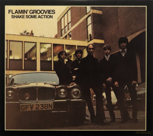 The Flamin' Groovies: Shake Some Action [2CD]