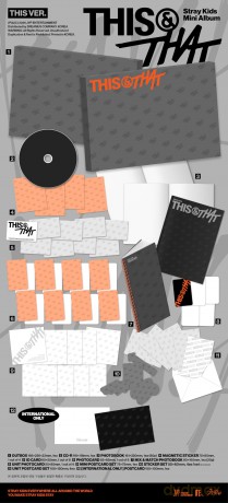 Stray Kids: This And That (This Ver.) (Standard 2) [CD]