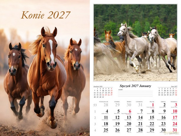 Kalendarz 2027 ścienny 13-k Konie [KALENDARZ]