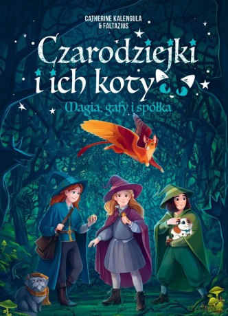 Czarodziejki i ich koty. Magia, gafy i spółka - Catherine Kalengula, Faltazius [KOMIKS]