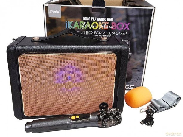 Głośnik Bluetooth z mikrofonem karaoke USB