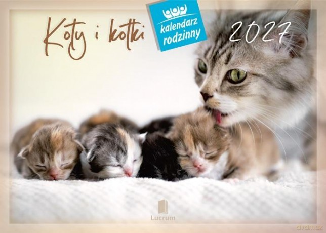 Kalendarz 2027 rodzinny Koty i kotki [KALENDARZ]