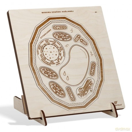 Puzzle drewniane Budowa komórki roślinnej [PUZZLE]