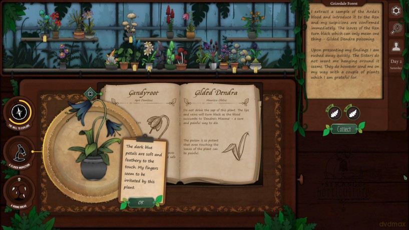 Strange Horticulture and Antiquities [GRA SWITCH]