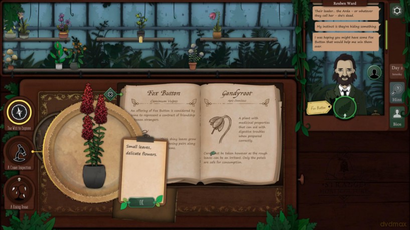Strange Horticulture and Antiquities [GRA SWITCH]