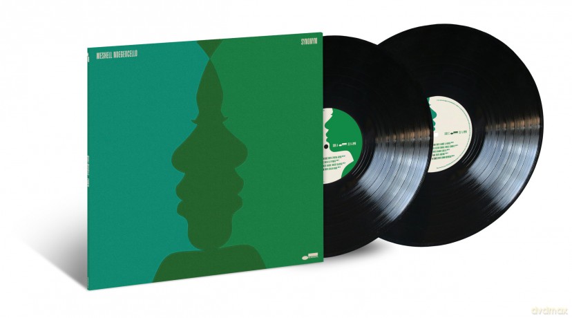 Meshell Ndegeocello: Synonym [Winyl]