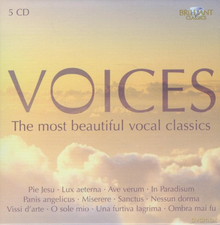 Voices [CD]