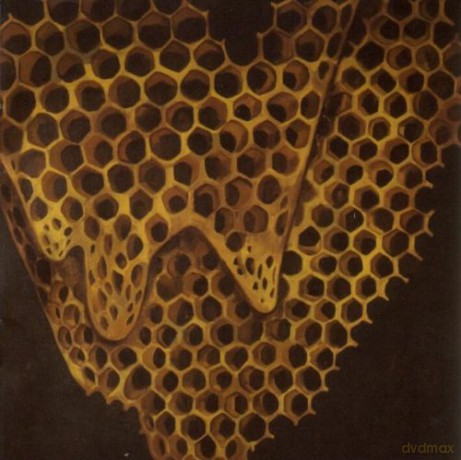 Telefon Tel Aviv: Map Of What Is Effortless [CD]