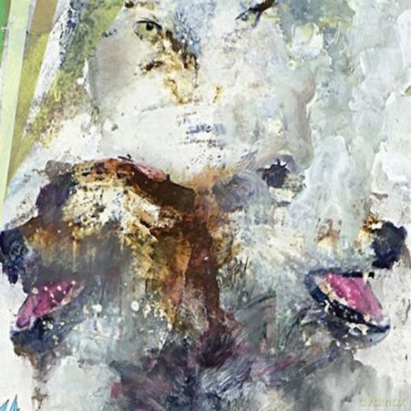 These Arms Are Snakes: Tail Swallower And Dove [CD]