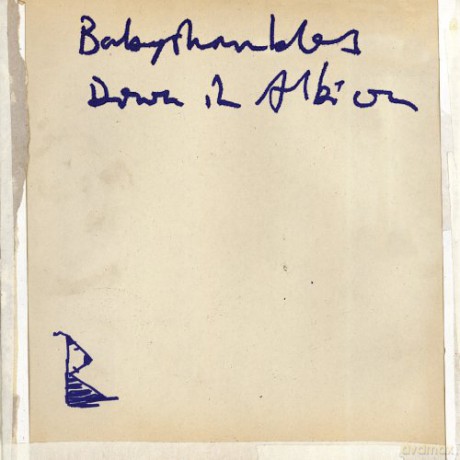 Babyshambles: Down In Albion [CD]