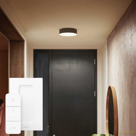 Philips Hue - Enrave Ceiling Lamp Small 26,1 cm - White Ambiance Black
