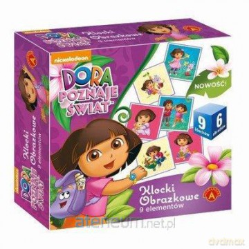 Klocki obrazkowe 9 - Dora poznaje świat