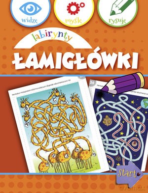 Labirynty i łamigłówki - praca zbiorowa [KSIĄŻKA]