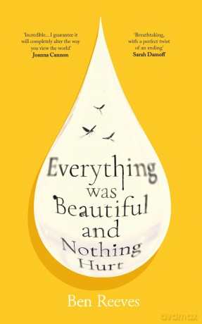 Everything was Beautiful and Nothing Hurt: The gorgeous, uplifting INSTANT New York Times bestseller - Ben Reeves [KSIĄŻKA]