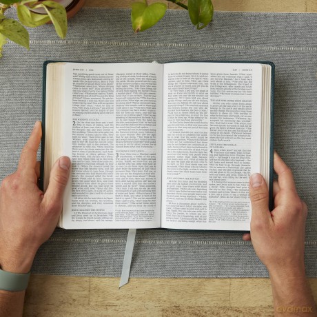 NRSV Catholic Edition Gift Bible, Brown Leathersoft (Comfort Print, Holy Bible, Complete Catholic Bible, NRSV CE): Holy Bible [KSIĄŻKA]