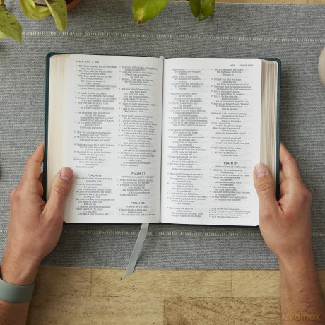 NRSV Catholic Edition Gift Bible, Brown Leathersoft (Comfort Print, Holy Bible, Complete Catholic Bible, NRSV CE): Holy Bible [KSIĄŻKA]