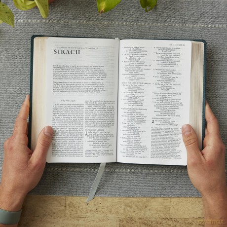 NRSV Catholic Edition Gift Bible, Brown Leathersoft (Comfort Print, Holy Bible, Complete Catholic Bible, NRSV CE): Holy Bible [KSIĄŻKA]