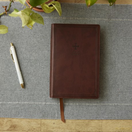 NRSV Catholic Edition Gift Bible, Brown Leathersoft (Comfort Print, Holy Bible, Complete Catholic Bible, NRSV CE): Holy Bible [KSIĄŻKA]