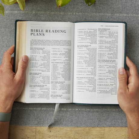NRSV Catholic Edition Gift Bible, Brown Leathersoft (Comfort Print, Holy Bible, Complete Catholic Bible, NRSV CE): Holy Bible [KSIĄŻKA]