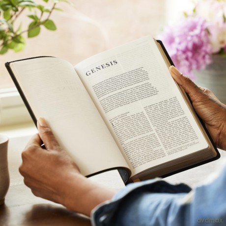 NRSV Catholic Edition Gift Bible, Brown Leathersoft (Comfort Print, Holy Bible, Complete Catholic Bible, NRSV CE): Holy Bible [KSIĄŻKA]