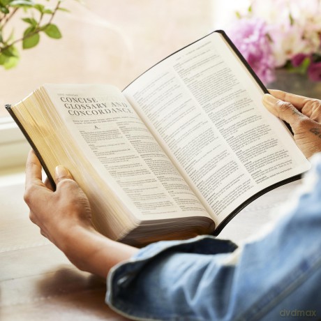NRSV Catholic Edition Gift Bible, Brown Leathersoft (Comfort Print, Holy Bible, Complete Catholic Bible, NRSV CE): Holy Bible [KSIĄŻKA]