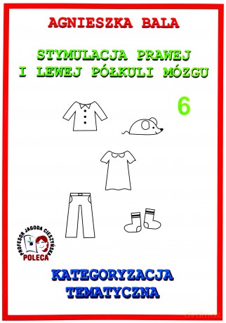 Stymulacja prawej i lewej półkuli Kategoryzacja [KSIĄŻKA]