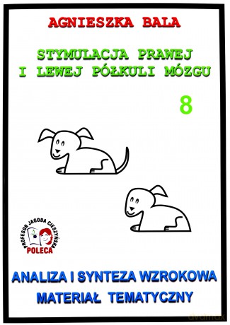 Stymulacja prawej i lewej półkuli 8 Analiza i synteza wzrokowa [KSIĄŻKA]