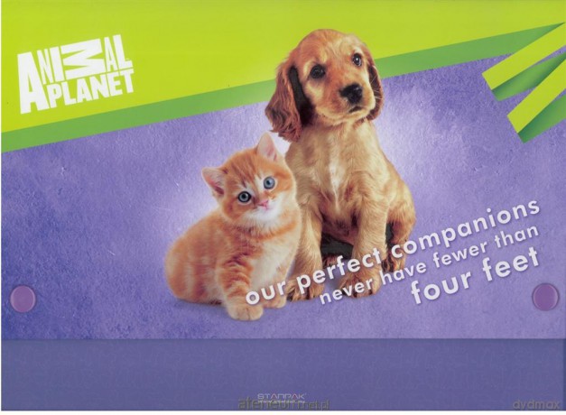 Teczka z rączką A4 Animal Planet Cute