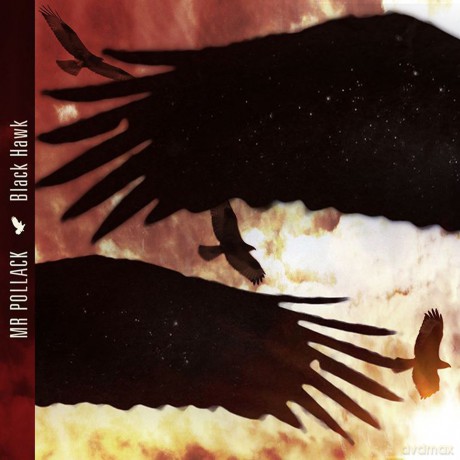 Mr. Pollack: Black Hawk [CD]