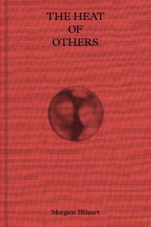the Heat of Others - Morgane Billuart [KSIĄŻKA]