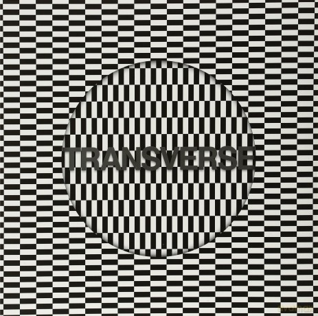 Carter Tutti Void: Transverse [CD]+[Winyl]