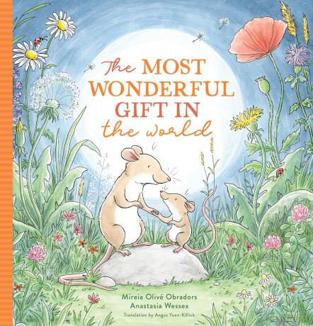 The Most Wonderful Gift in the World - Mireia Olivé Obradors [KSIĄŻKA]