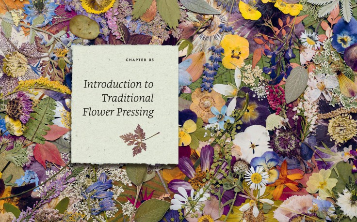 The Pressed Flower Handbook: Simple Methods for Connecting with Nature and Preserving the Beauty of the Garden through the Seasons - Grow, Gather, Press, Create - Sarah Holland [KSIĄŻKA]